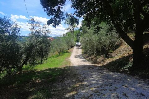 Landejendom i Castelplanio, Ancona, Castelplanio - € 430.000 | Ref: CR401 - foto 39