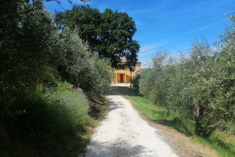 Landejendom i Castelplanio, Ancona, Castelplanio - € 430.000 | Ref: CR401 - foto 7