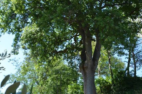 Landejendom i Castelplanio, Ancona, Castelplanio - € 430.000 | Ref: CR401 - foto 14