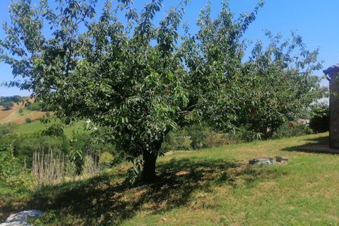 Landejendom i Castelplanio, Ancona, Castelplanio - € 430.000 | Ref: CR401 - foto 38