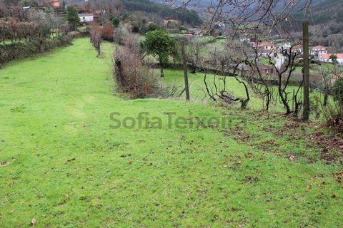 Villa i Cinfaes, Viseu, Cinfaes - € 265.000 | Ref: CAS_1205 - foto 47