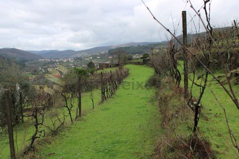 Villa i Cinfaes, Viseu, Cinfaes - € 265.000 | Ref: CAS_1205 - foto 48