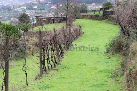 Villa i Cinfaes, Viseu, Cinfaes - € 265.000 | Ref: CAS_1205 - foto 40