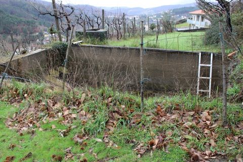 Villa i Cinfaes, Viseu, Cinfaes - € 265.000 | Ref: CAS_1205 - foto 49
