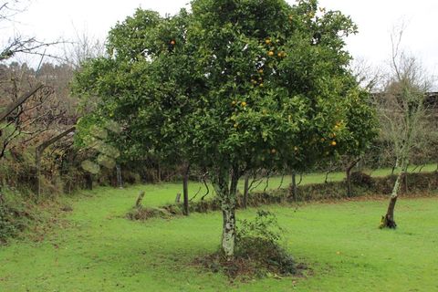 Villa i Cinfaes, Viseu, Cinfaes - € 265.000 | Ref: CAS_1205 - foto 50