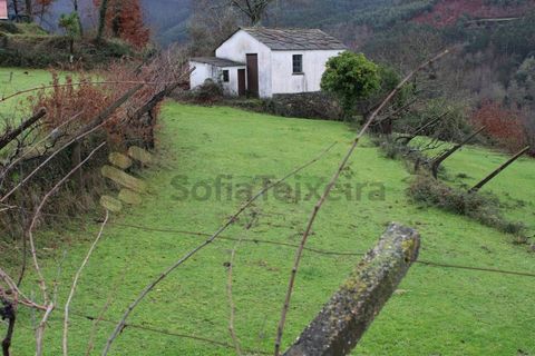 Villa i Cinfaes, Viseu, Cinfaes - € 265.000 | Ref: CAS_1205 - foto 39