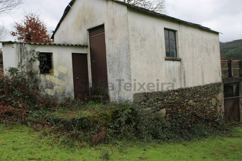 Villa i Cinfaes, Viseu, Cinfaes - € 265.000 | Ref: CAS_1205 - foto 33