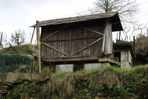 Villa i Cinfaes, Viseu, Cinfaes - € 265.000 | Ref: CAS_1205 - foto 35