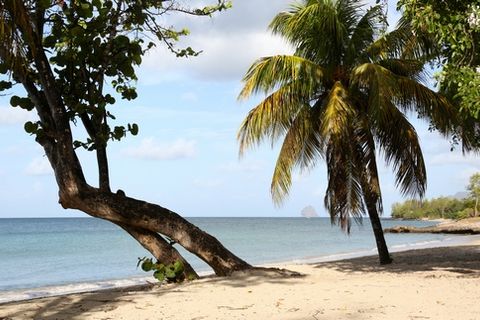 Studio i Sainte-Luce, Martinique, Sainte-Luce - € 113 388 | Ref: martiniq-113 - foto 14