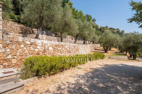Landejendom i Grasse, Alpes-Maritimes, Grasse - € 5.000.000 | Ref: 86778007 - foto 4