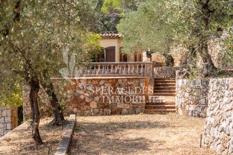 Landejendom i Grasse, Alpes-Maritimes, Grasse - € 5.000.000 | Ref: 86778007 - foto 5