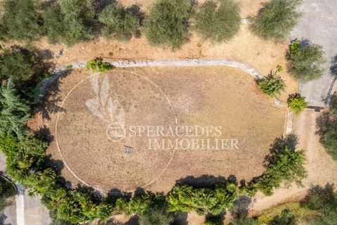 Landejendom i Grasse, Alpes-Maritimes, Grasse - € 5.000.000 | Ref: 86778007 - foto 18