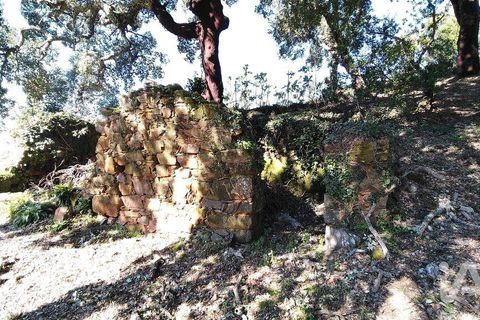 Helårsgrund i Serta, Castelo Branco, Serta - € 39.000 | Ref: 821282 - foto 2