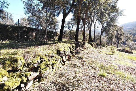 Helårsgrund i Serta, Castelo Branco, Serta - € 39.000 | Ref: 821282 - foto 3