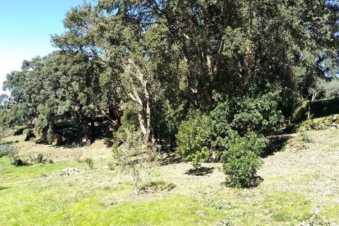 Helårsgrund i Serta, Castelo Branco, Serta - € 39.000 | Ref: 821282 - foto 4