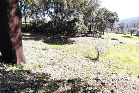 Helårsgrund i Serta, Castelo Branco, Serta - € 39.000 | Ref: 821282 - foto 5