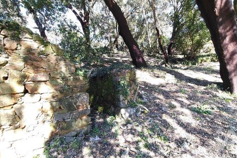 Helårsgrund i Serta, Castelo Branco, Serta - € 39.000 | Ref: 821282 - foto 7