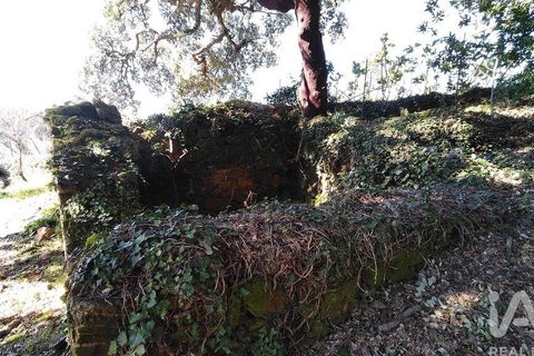 Helårsgrund i Serta, Castelo Branco, Serta - € 39.000 | Ref: 821282 - foto 8