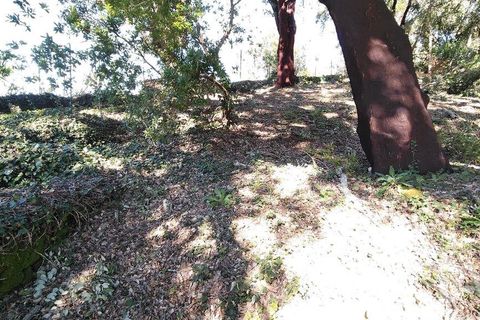 Helårsgrund i Serta, Castelo Branco, Serta - € 39.000 | Ref: 821282 - foto 9