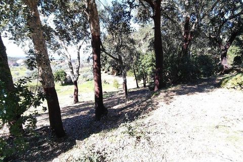 Helårsgrund i Serta, Castelo Branco, Serta - € 39.000 | Ref: 821282 - foto 11