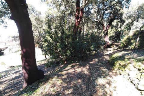 Helårsgrund i Serta, Castelo Branco, Serta - € 39.000 | Ref: 821282 - foto 12