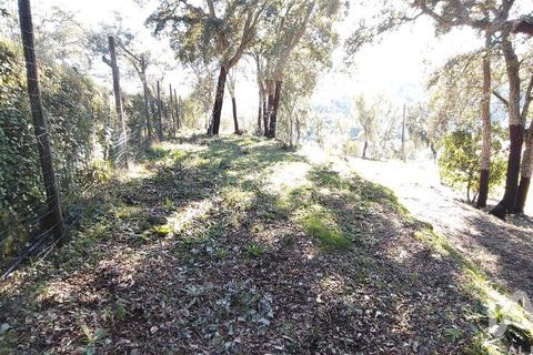 Helårsgrund i Serta, Castelo Branco, Serta - € 39.000 | Ref: 821282 - foto 14