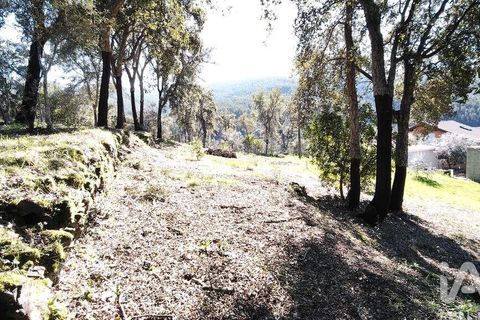 Helårsgrund i Serta, Castelo Branco, Serta - € 39.000 | Ref: 821282 - foto 15