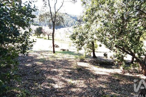 Helårsgrund i Serta, Castelo Branco, Serta - € 39.000 | Ref: 821282 - foto 16