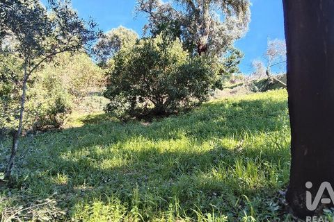 Helårsgrund i Serta, Castelo Branco, Serta - € 39.000 | Ref: 821282 - foto 17