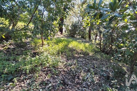 Helårsgrund i Serta, Castelo Branco, Serta - € 39.000 | Ref: 821282 - foto 18