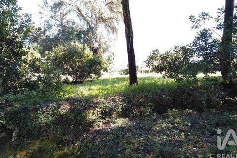 Helårsgrund i Serta, Castelo Branco, Serta - € 39.000 | Ref: 821282 - foto 19