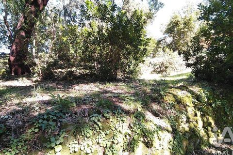 Helårsgrund i Serta, Castelo Branco, Serta - € 39.000 | Ref: 821282 - foto 20