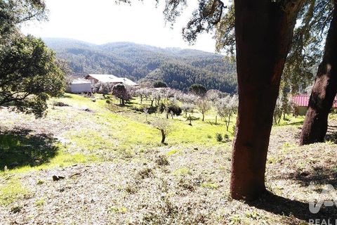 Helårsgrund i Serta, Castelo Branco, Serta - € 39.000 | Ref: 821282 - foto 21