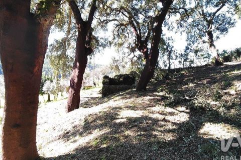 Helårsgrund i Serta, Castelo Branco, Serta - € 39.000 | Ref: 821282 - foto 22