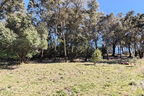 Helårsgrund i Serta, Castelo Branco, Serta - € 39.000 | Ref: 821282 - foto 23