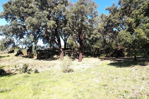 Helårsgrund i Serta, Castelo Branco, Serta - € 39.000 | Ref: 821282 - foto 24