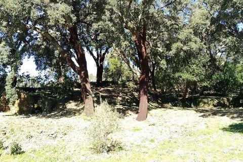 Helårsgrund i Serta, Castelo Branco, Serta - € 39.000 | Ref: 821282 - foto 25