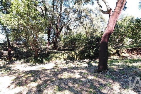 Helårsgrund i Serta, Castelo Branco, Serta - € 39.000 | Ref: 821282 - foto 26