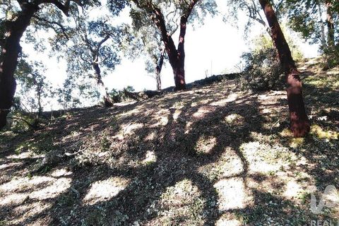Helårsgrund i Serta, Castelo Branco, Serta - € 39.000 | Ref: 821282 - foto 27