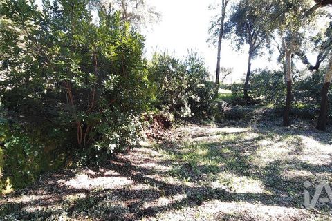 Helårsgrund i Serta, Castelo Branco, Serta - € 39.000 | Ref: 821282 - foto 28