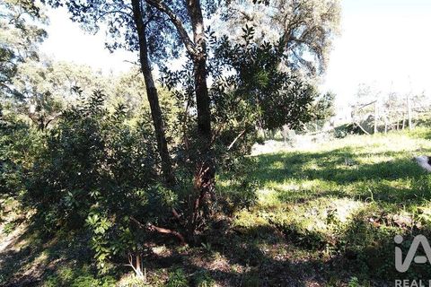 Helårsgrund i Serta, Castelo Branco, Serta - € 39.000 | Ref: 821282 - foto 30