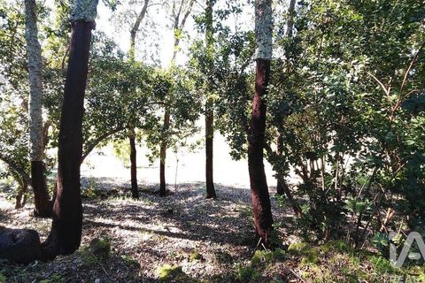 Helårsgrund i Serta, Castelo Branco, Serta - € 39.000 | Ref: 821282 - foto 31
