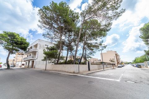 Helårsgrund i Manacor, Mallorca, Manacor - € 159.000 | Ref: 05JRP178SC/3010 - foto 1