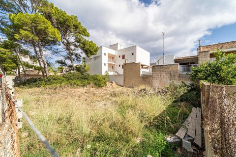 Helårsgrund i Manacor, Mallorca, Manacor - € 159.000 | Ref: 05JRP178SC/3010 - foto 2