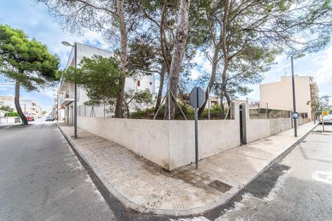 Helårsgrund i Manacor, Mallorca, Manacor - € 159.000 | Ref: 05JRP178SC/3010 - foto 4