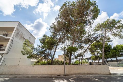Helårsgrund i Manacor, Mallorca, Manacor - € 159.000 | Ref: 05JRP178SC/3010 - foto 5