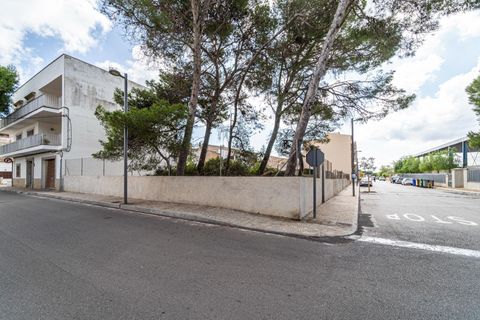 Helårsgrund i Manacor, Mallorca, Manacor - € 159.000 | Ref: 05JRP178SC/3010 - foto 6