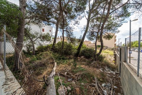 Helårsgrund i Manacor, Mallorca, Manacor - € 159.000 | Ref: 05JRP178SC/3010 - foto 7