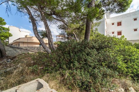 Helårsgrund i Manacor, Mallorca, Manacor - € 159.000 | Ref: 05JRP178SC/3010 - foto 9