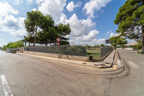 Helårsgrund i Manacor, Mallorca, Manacor - € 159.000 | Ref: 05JRP178SC/3010 - foto 10
